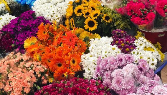 The Language of Flowers